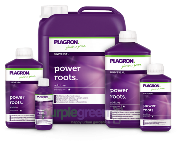 Plagron Power Roots purplegreen Linz Plagron Power Roots purplegreen Linz